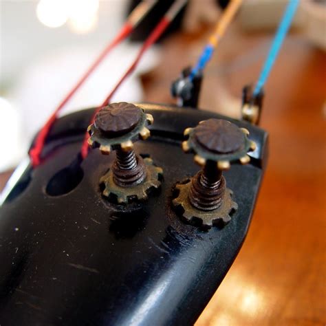 Cello String Notes: Mastering The Basics For Beginners | Ted's List