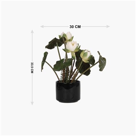 Buy Sachi Potted Lotus in Ceramic Pot from Home Centre at just INR 999.0