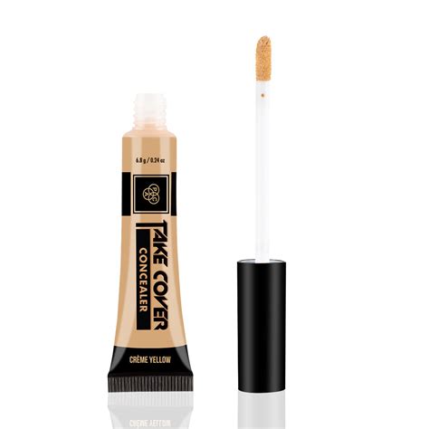 Pac Cosmetics Take Cover Concealer (6.8 gm)