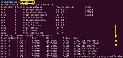 Image result for Linux Man Netstat