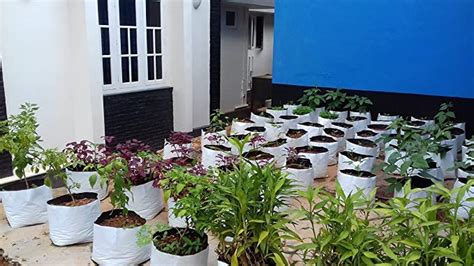 VKJ LDPE Plant Containers/Grow Bags for Terrace Outdoor Balcony ...