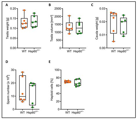 HSP60 Reduction Causes an Abnormal Genotype and Sex Distribution and ...