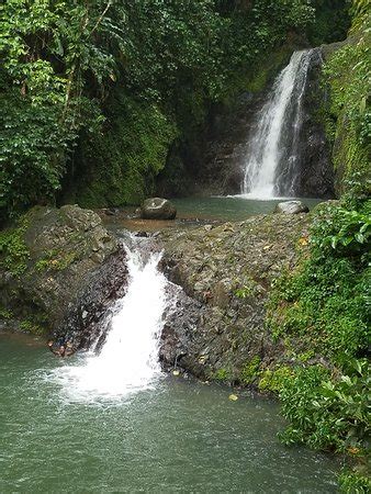 Grenada Exotic Tours - St. George's | Tripadvisor