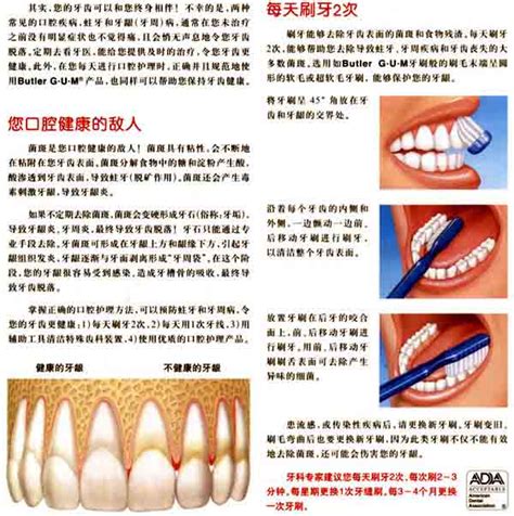 中国首套复杂义齿人工智能三维设计软件：维视全口义齿设计软件(3D医学数字牙科CAD/CAM) - 知乎
