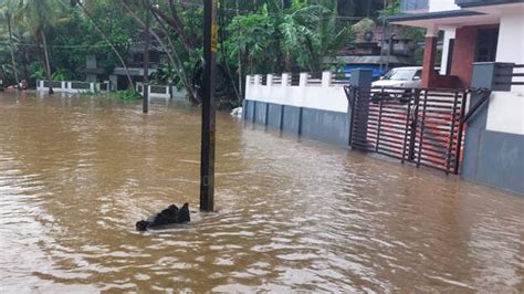 Heavy rains likely to lash one district today; yellow alert in four ...