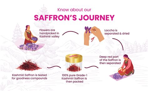Himalayan Elevation Original Kashmiri Saffron/Kesar,0.5 Gram, A Tata ...
