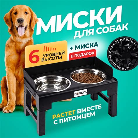 Миски для собак на подставке купить на OZON по низкой цене (1824170265)