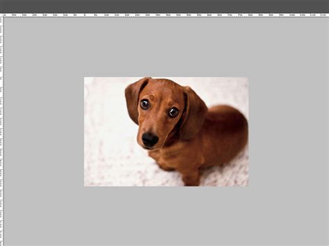 Image result for Screen Menu Bar
