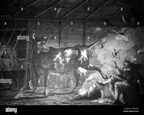 Mrs. O'Leary's Cow, The Great Chicago Fire, 1871 Stock Photo - Alamy