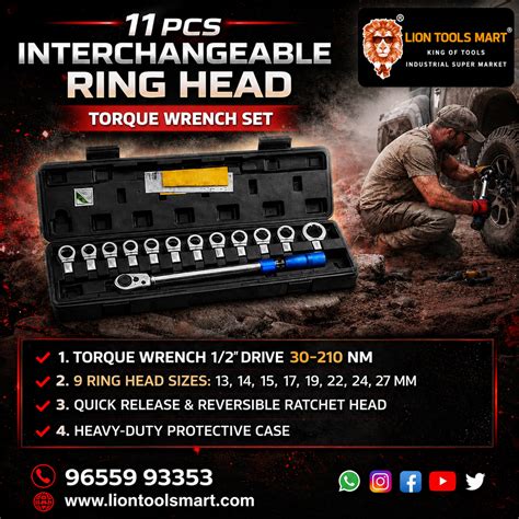Lion Tools 11-Pc Torque Wrench Set | 30-210 Nm | Ring Head Kit - Buy ...