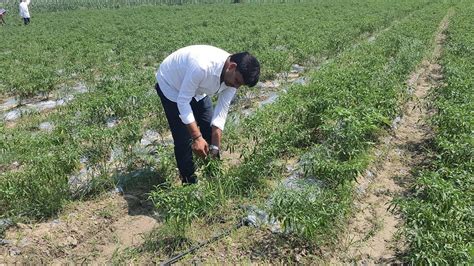 Fears for farming, trade stopped India from signing COP26 forest ...