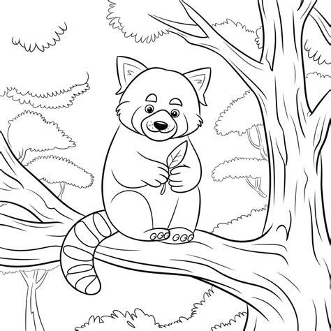 Red Panda coloring pages - ColoringLib