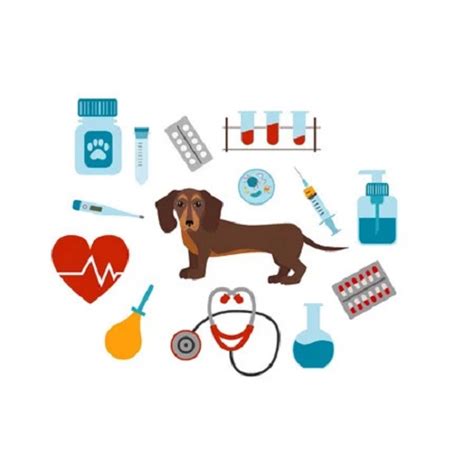 Enrofloxacin 100mg + Bromhexine 1mg Injection (For Veterinary Use) Opt