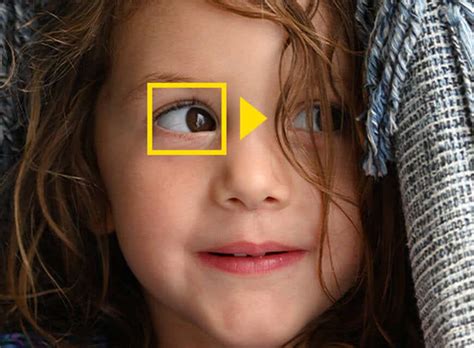 Mirrorless Z 50 | Nikon India