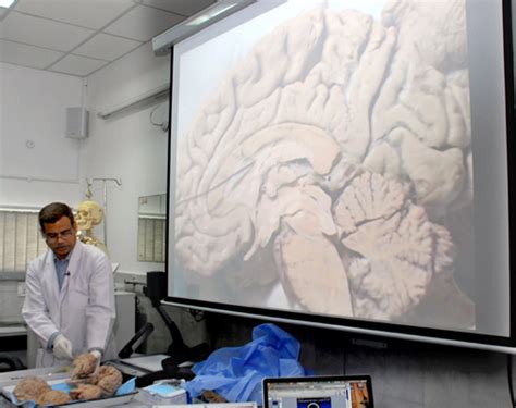 Neurosurgery Education And Training School