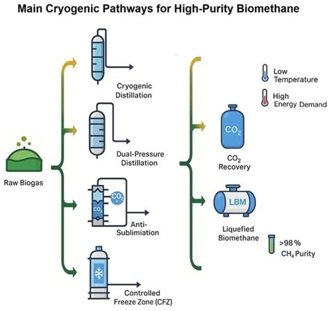Cryogenic Technologies for Biogas Upgrading: A Critical Review of ...