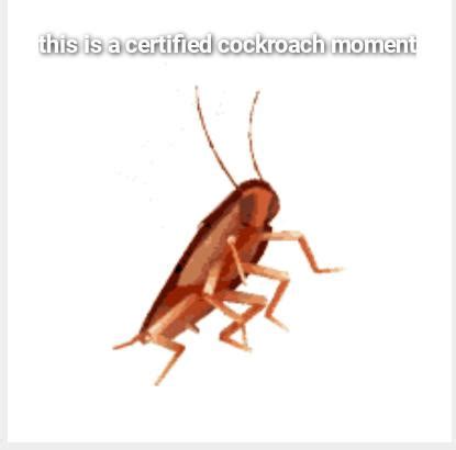 Number 12 Cockroach Meme 的图像结果