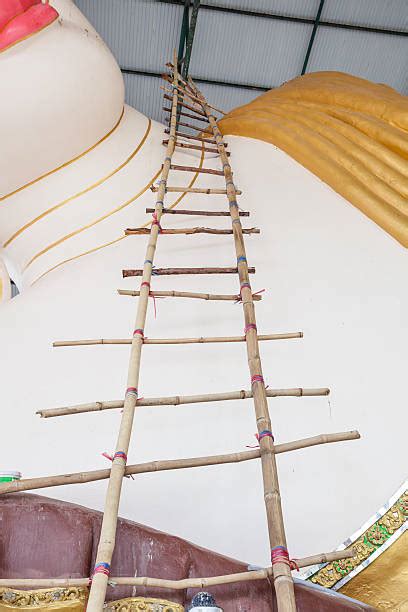 Image result for Loading Chart for Step Ladde