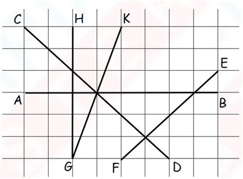 Level 2 IMO Question Paper for Class 3 - Set 7 | Olympiad tester