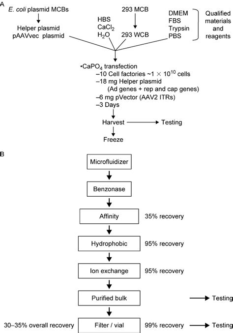 Image result for Upstream Manufacturing Process