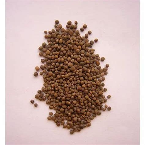 Flower Seeds - Red choor arecanut Trader - Retailer from Bengaluru