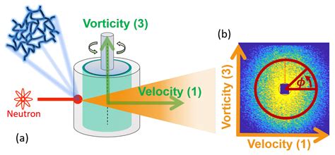 Unveiling Temporal Nonlinear Structure–Rheology Relationships under ...