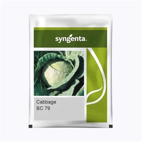 Buy Syngenta BC 79 Cabbage Seeds - High Yield, Deep Green Heads for ...