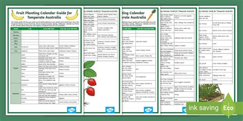 Companion Planting Guide for Temperate Australia Calendar