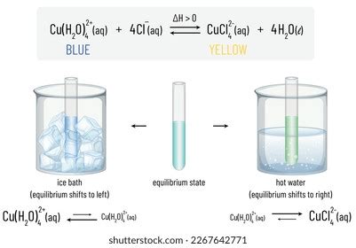 Image result for Equilibrium Temperature