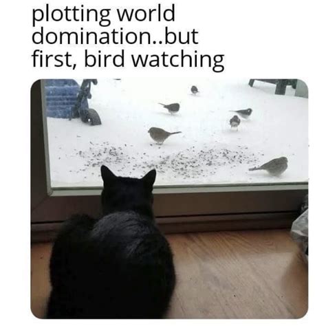 flying priorities
