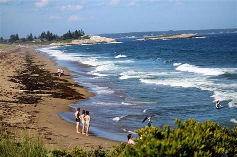 Are Dogs Allowed At Reid State Park Maine