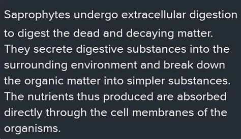 how do saprotrophic Clans obtained the nutrients - Brainly.in