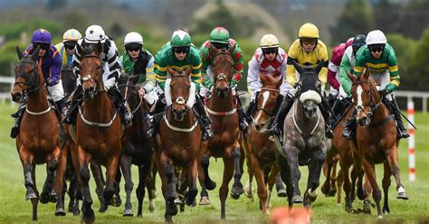 How Does the Weather Conditions Impact Horse Racing? | Skymet Weather ...