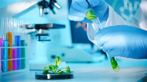 Biotechnology Is Useful In 的图像结果