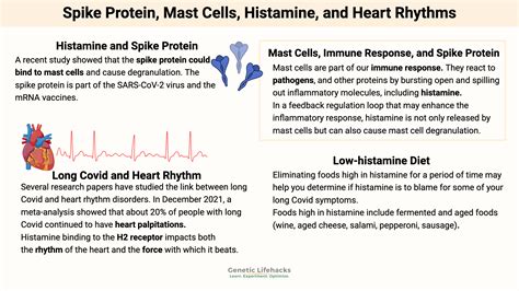 Arrhythmia & Heart Function
