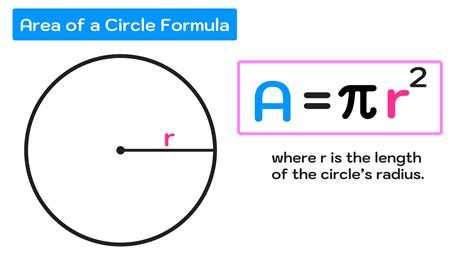 How to Find the Area of a Circle in 3 Easy Steps — Mashup Math