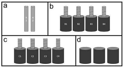 Determination of Loss of Reinforcement Due to Corrosion through X-ray ...