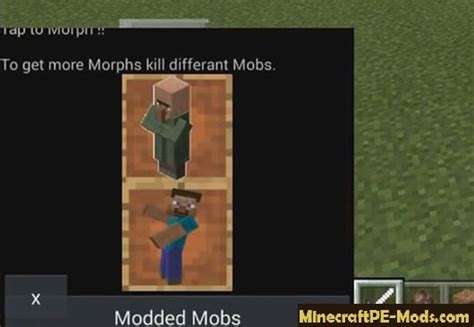 Image result for Minecraft Mob Morphing