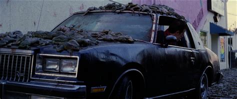 Raining Frogs Magnolia