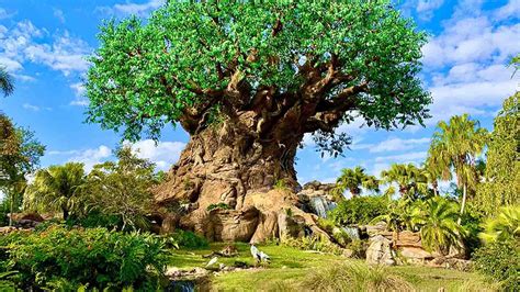 Tree of Life Bahrain: Exploring the Desert Mystery and a Unique Natural Tourism IconTree of Life ...
