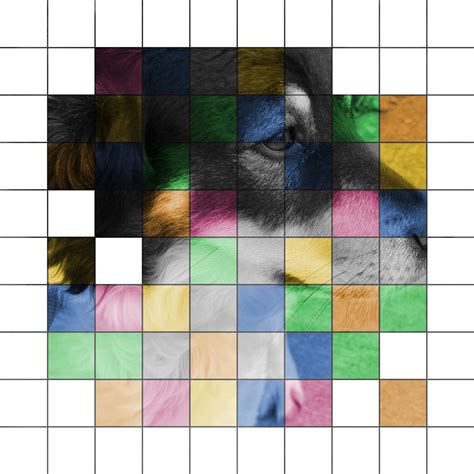 Image result for Colorized