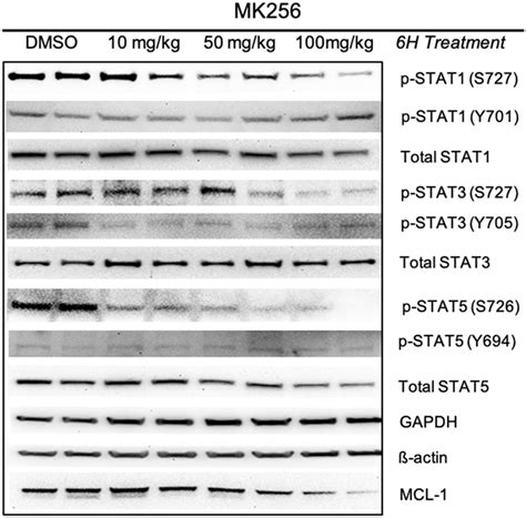 MK 128 Algorithm 的图像结果