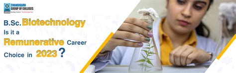 B.Sc Biotechnology: Career Scope & Opportunities | CGC Landran