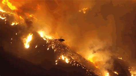 【解局】澳大利亚山火肆虐4个月，到底祸起何处？_大火