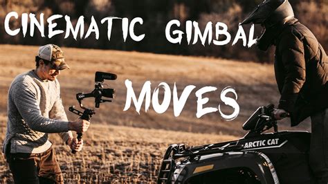 Gimbal Tutorial 的图像结果