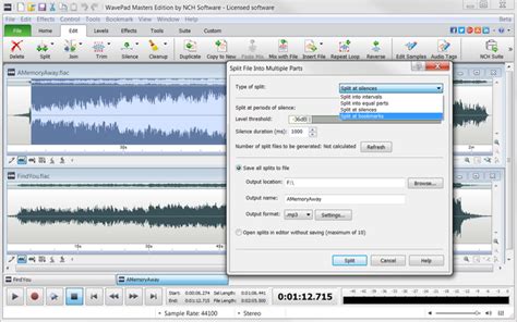 Image result for WavePad License Key