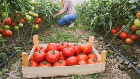 Garden Boot Camp: Vegetables, Possum Creek MetroPark, Dayton, February ...