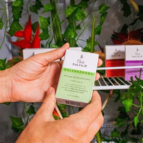 Productos naturales COCO SALVAJE | Cuidado natural de la piel
