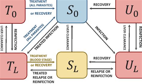 State Variables 的图像结果