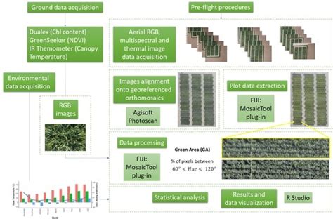 UAV and Ground Image-Based Phenotyping: A Proof of Concept with Durum Wheat